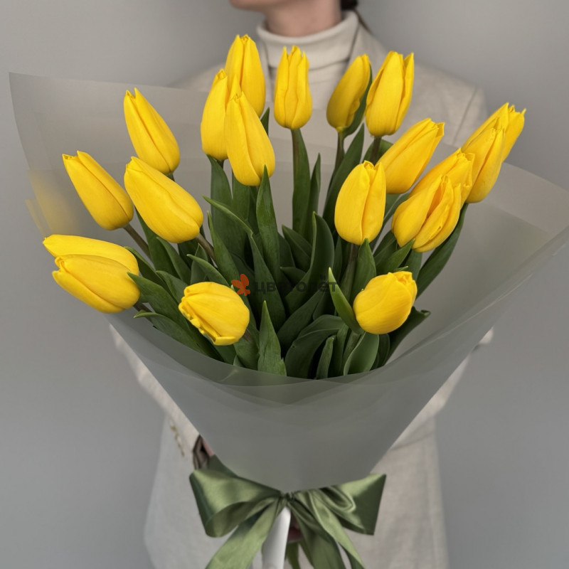 Голландский роман