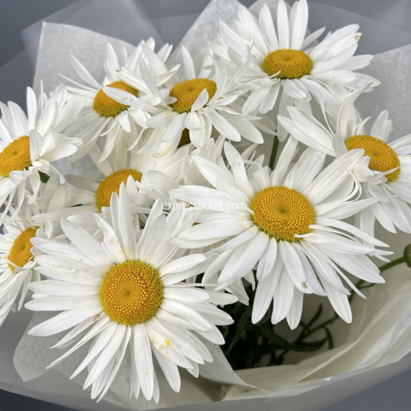 Солнечный символ