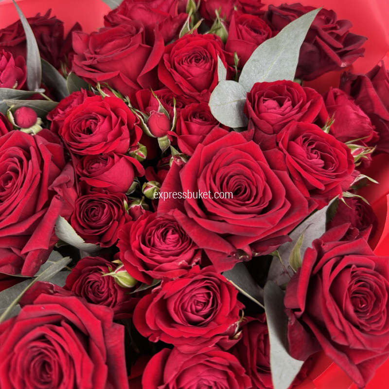 Океан любви