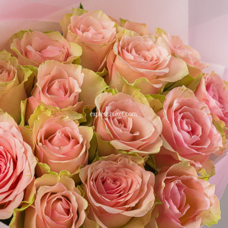 Розовый стиль 15 роз