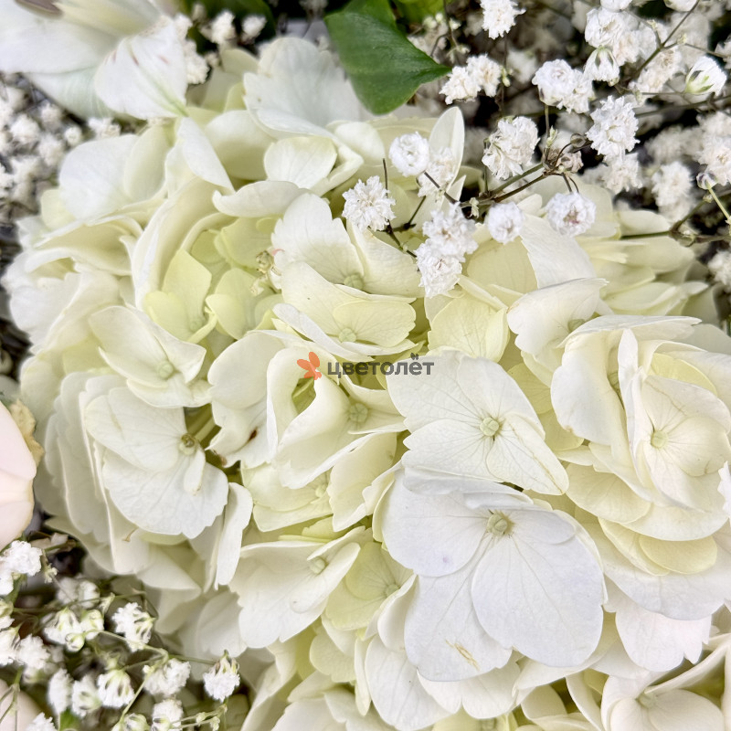 Букет для нее