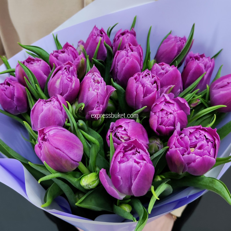 Букет из 19 тюльпанов